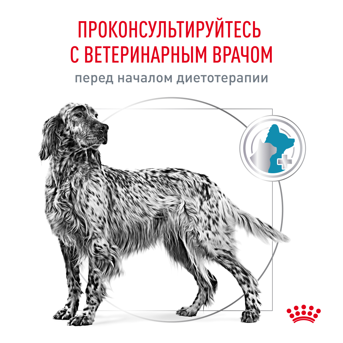 Корм для собак ROYAL CANIN Hypoallergenic DR21 с пищевой аллергией 2кг - фото 9