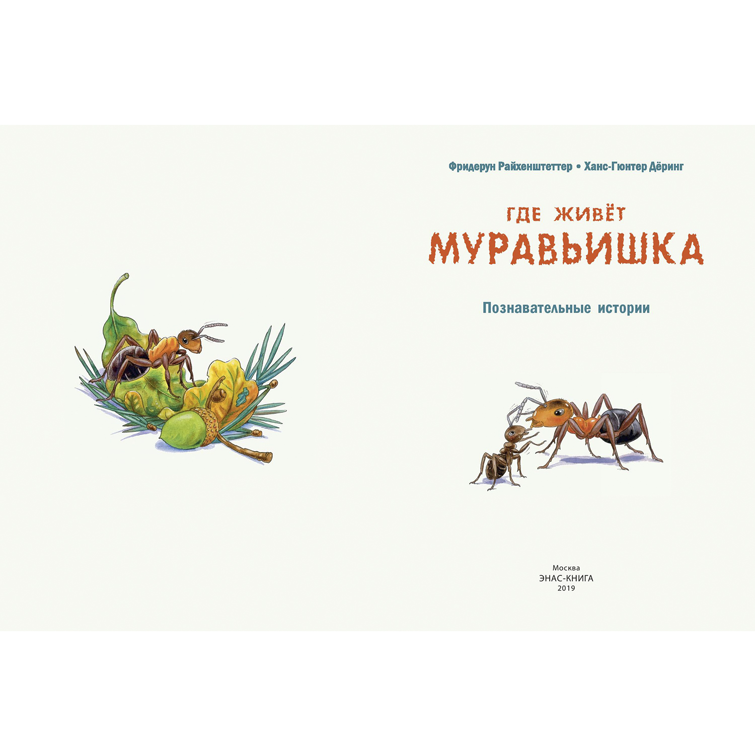 Книга Издательство Энас-книга Где живёт муравьишка Познавательные истории  Райхенштеттер Давай познакомимся купить по цене 440 ₽ в интернет-магазине  Детский мир