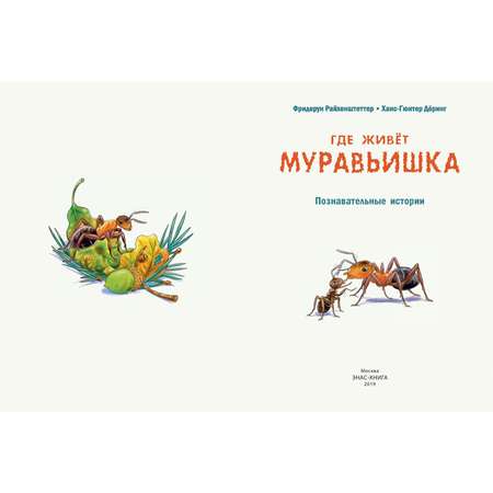 Книга Издательство Энас-книга Где живёт муравьишка Познавательные истории Райхенштеттер Давай познакомимся