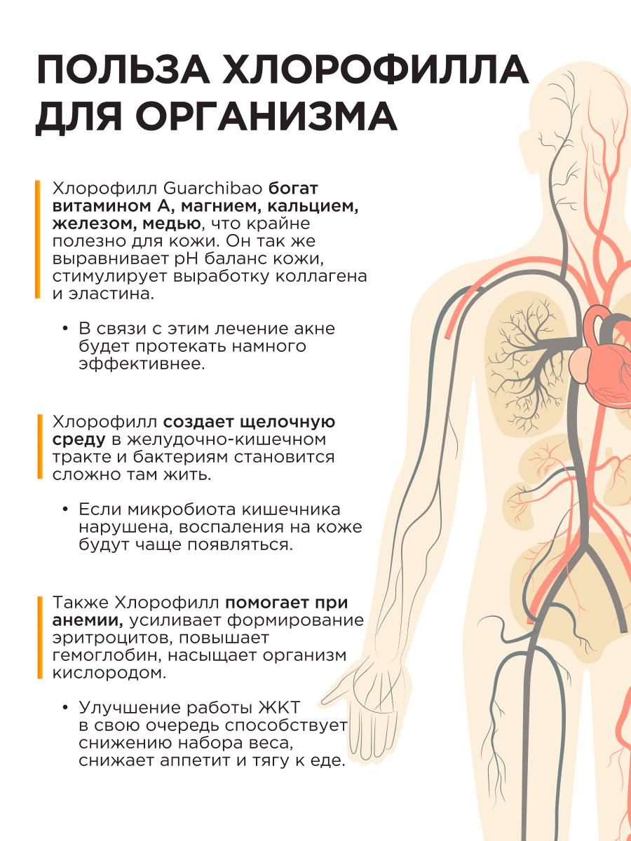 Многокомпонентный препарат Guarchibao Хлорофилл жидкий пищевой 500 мл для похудения - фото 2
