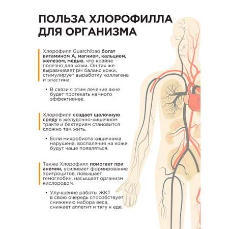 Многокомпонентный препарат Guarchibao Хлорофилл жидкий пищевой 500 мл для похудения