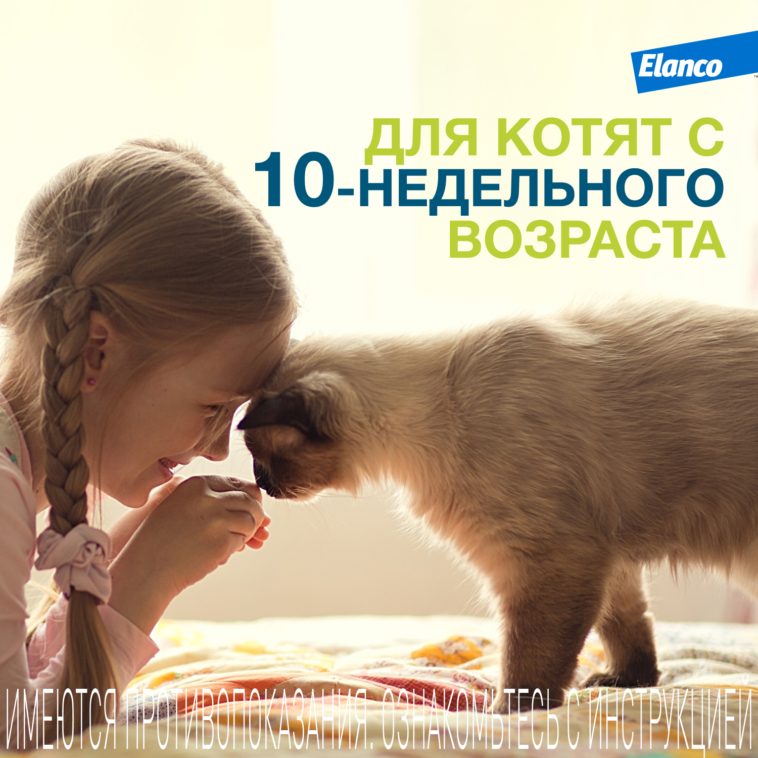 Ошейник для кошек Elanco Foresto от блох и клещей защита 8месяцев 38см 65232 - фото 10