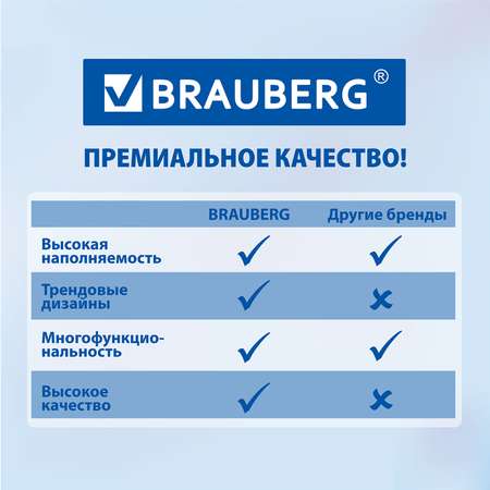 Пенал-косметичка Brauberg школьный 22х10х3 см