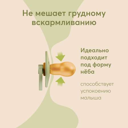 Соска-пустышка Happy Baby 18м+ латексная light green