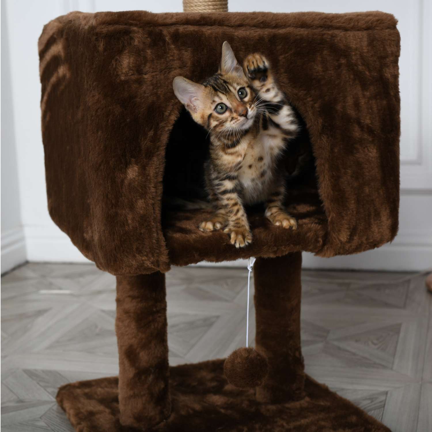 Когтеточка для кошек домик БРИСИ Коричневый - фото 3