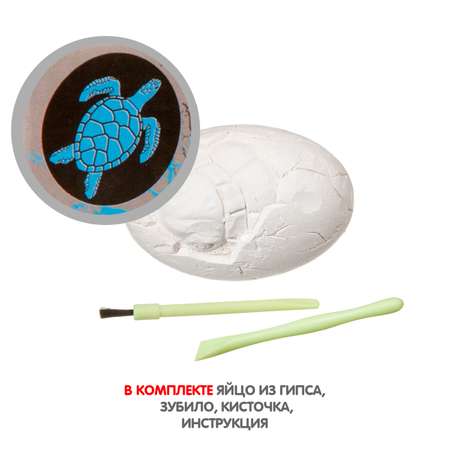 Набор для раскопок BONDIBON Яйцо черепахи