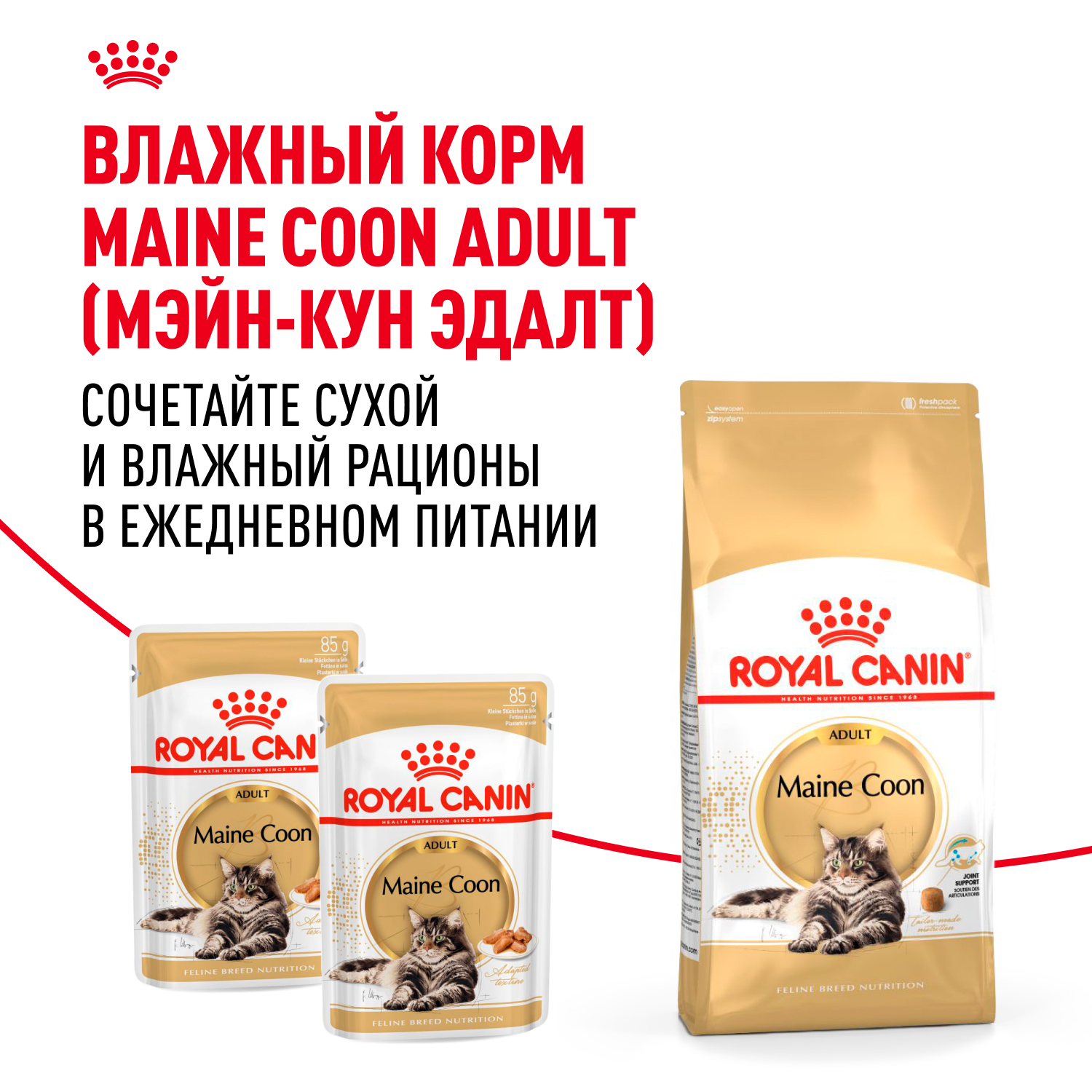 Корм сухой для кошек ROYAL CANIN Maine Coon 2кг породы мейн-кун - фото 8