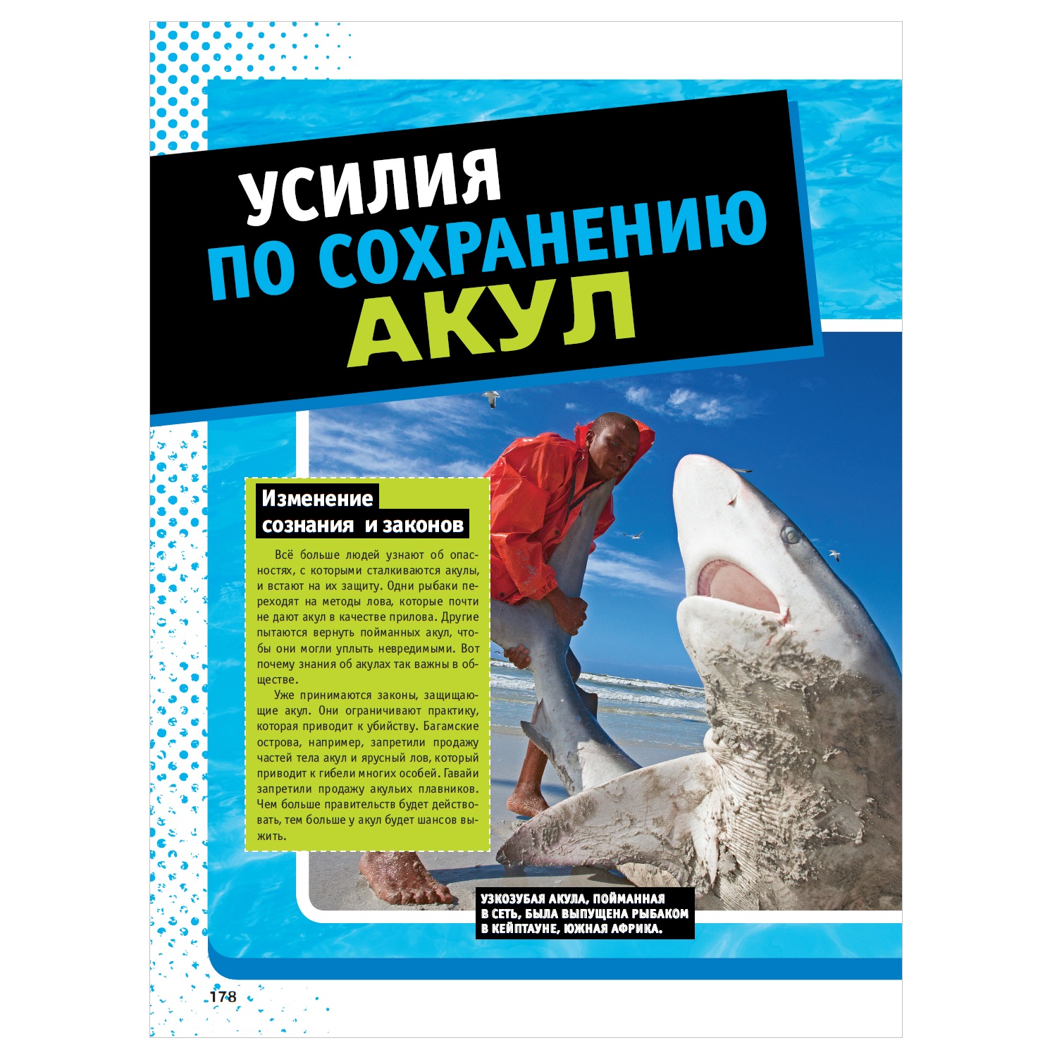 Энциклопедия АСТ Невероятные акулы 5000 удивительных фактов - фото 9