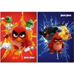 Блокнот Академия Холдинг 48л ANGRY BIRDS в ассортименте