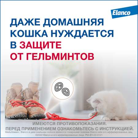 Антигельминтик для кошек Elanco Мильбемакс крупных пород 2таблетки