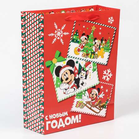 Пакет Disney ламинат вертикальный «С новым годом!» Микки Маус . 31х40х11.5