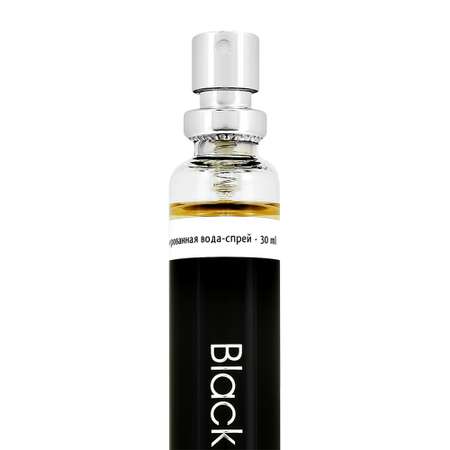 Парфюмерная вода BESTIES Perfume spray black velvet (унисекс) 30 мл