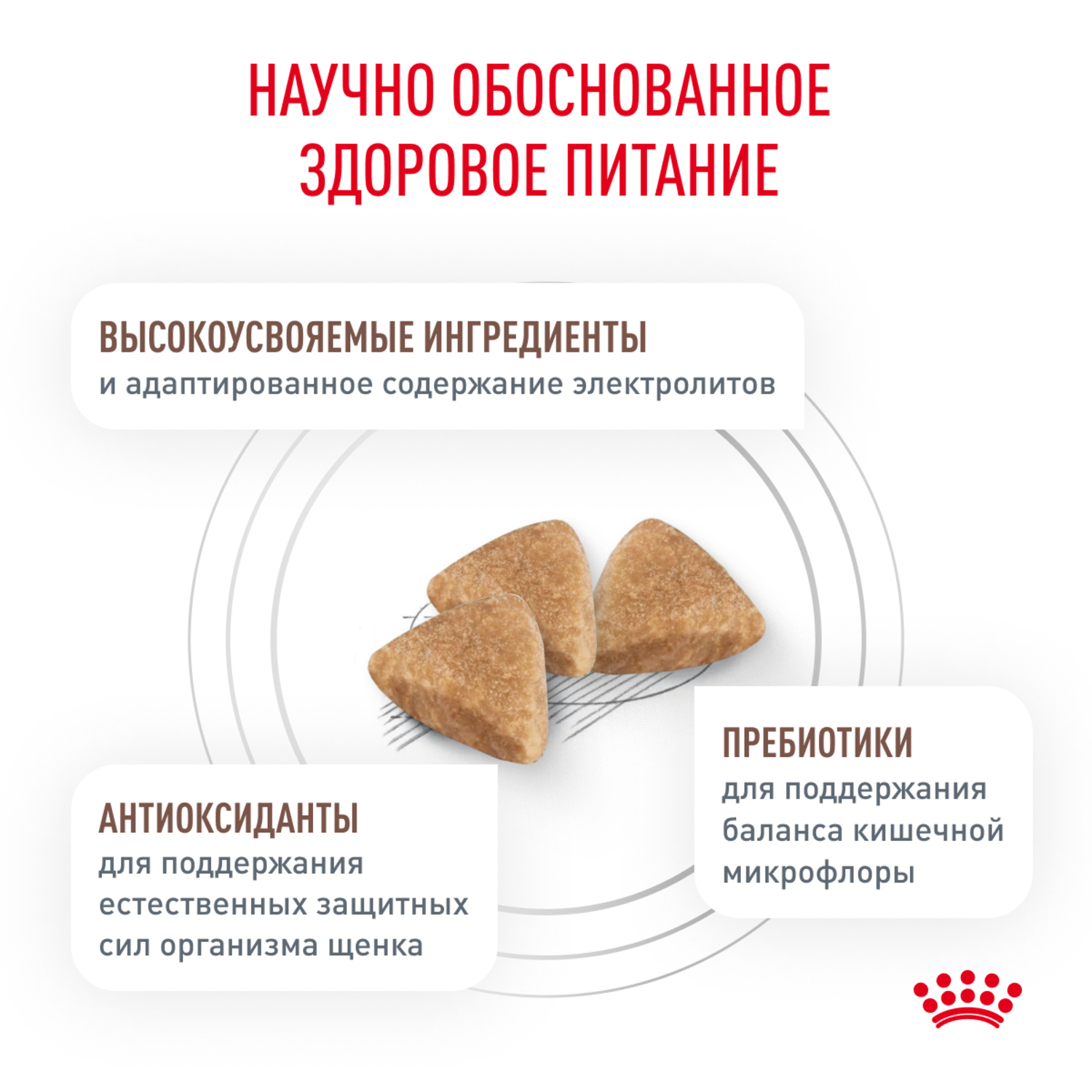 Корм для щенков ROYAL CANIN Gastro Intestinal Junior GIJ29 при нарушении пищеварения 2.5кг - фото 4
