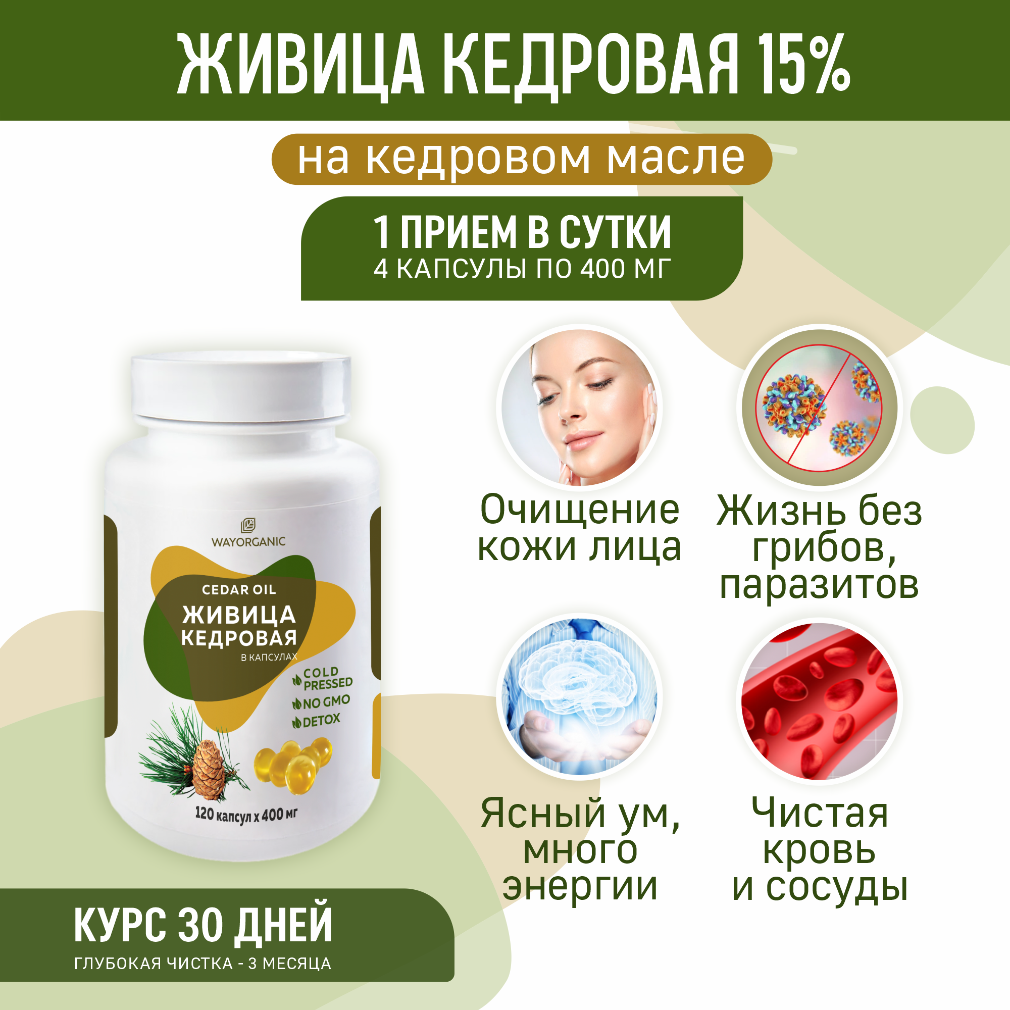 Живица кедровая в капсулах WAYORGANIC поднятие иммунитета - фото 2