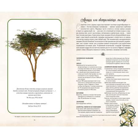 Книга КОЛИБРИ Тайный язык деревьев Дэвис Дж. Серия: Новый натуралист