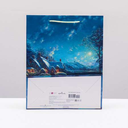 Пакет Sima-Land подарочный «Зимняя ночь» 26×32×12 см