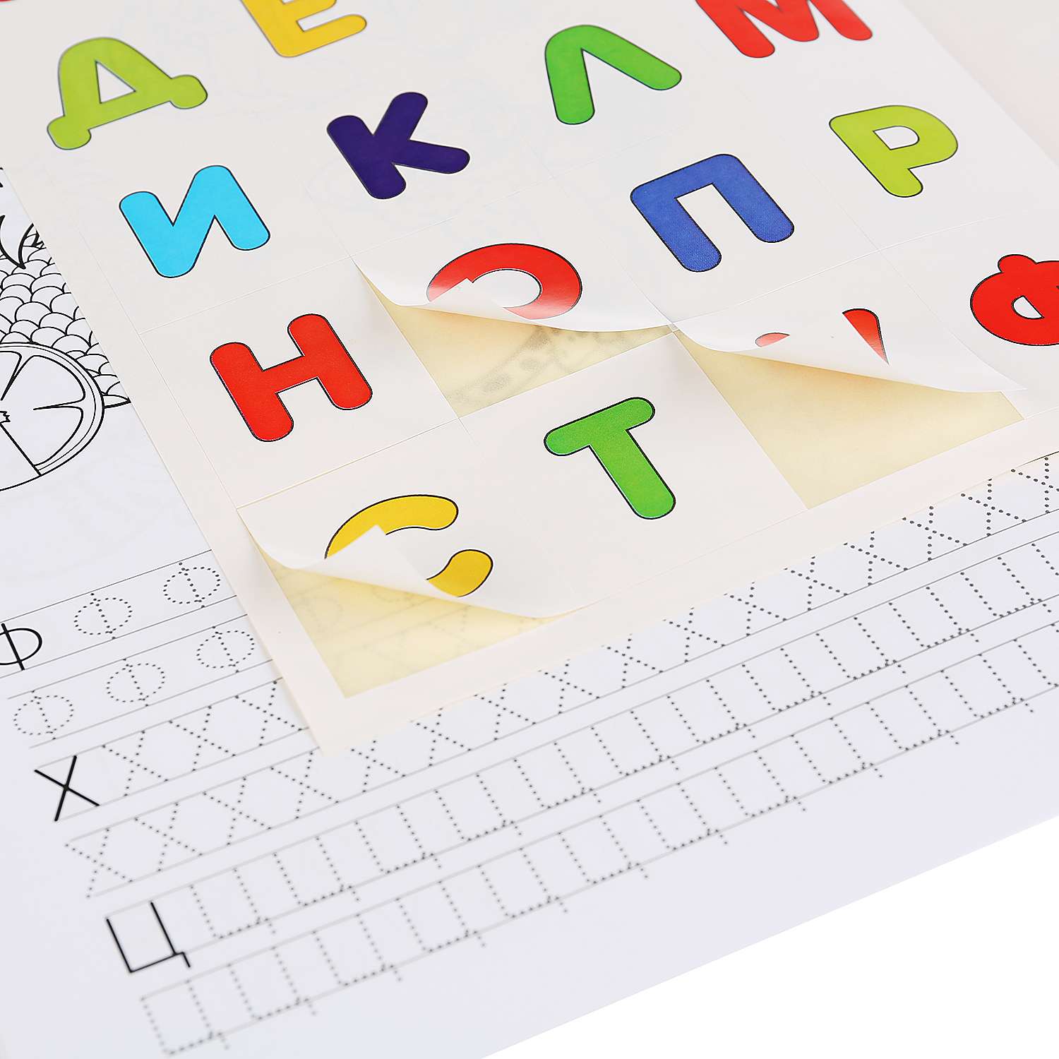 Раскраска УМка Учим азбуку и цифры Лео и Тиг с наклейками 248766 - фото 5
