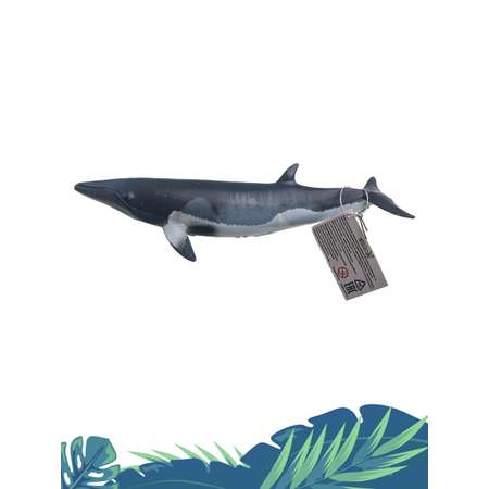 Игрушка Collecta Малый полосатик фигурка морского животного