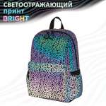 Рюкзак Brauberg Spiderweb