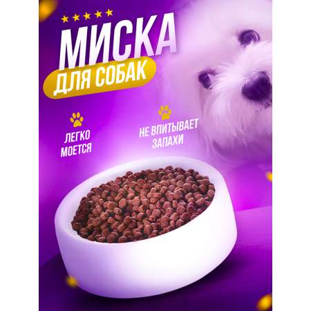 Миска Unevix для собак и кошек