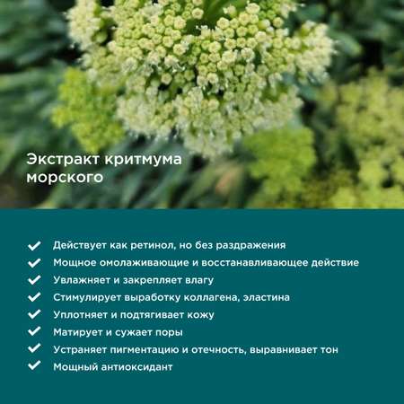 Многофункциональная сыворотка-концентрат PERFECT4U Regenerating Concentrate