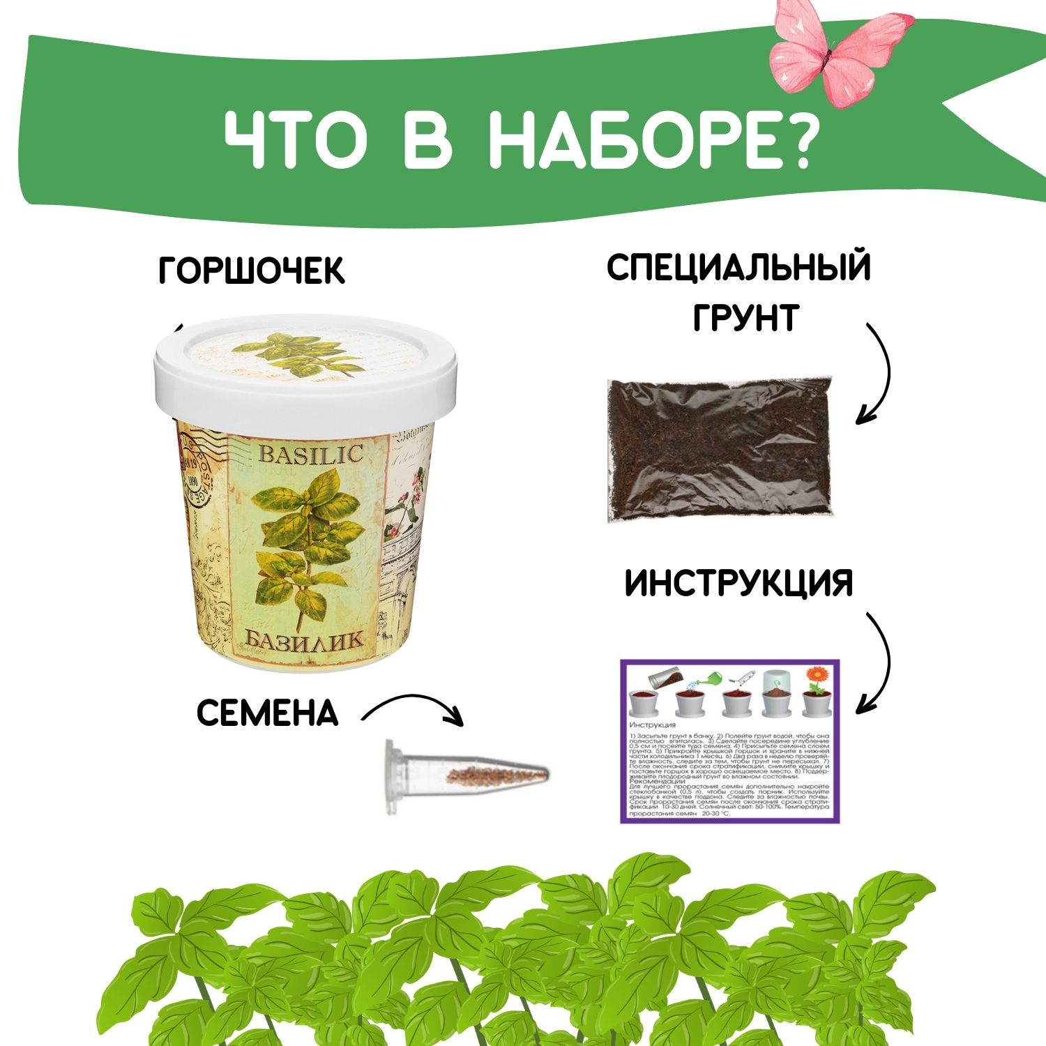 Набор для выращивания растений Rostok Visa Вырасти сам Базилик в подарочном горшке - фото 4