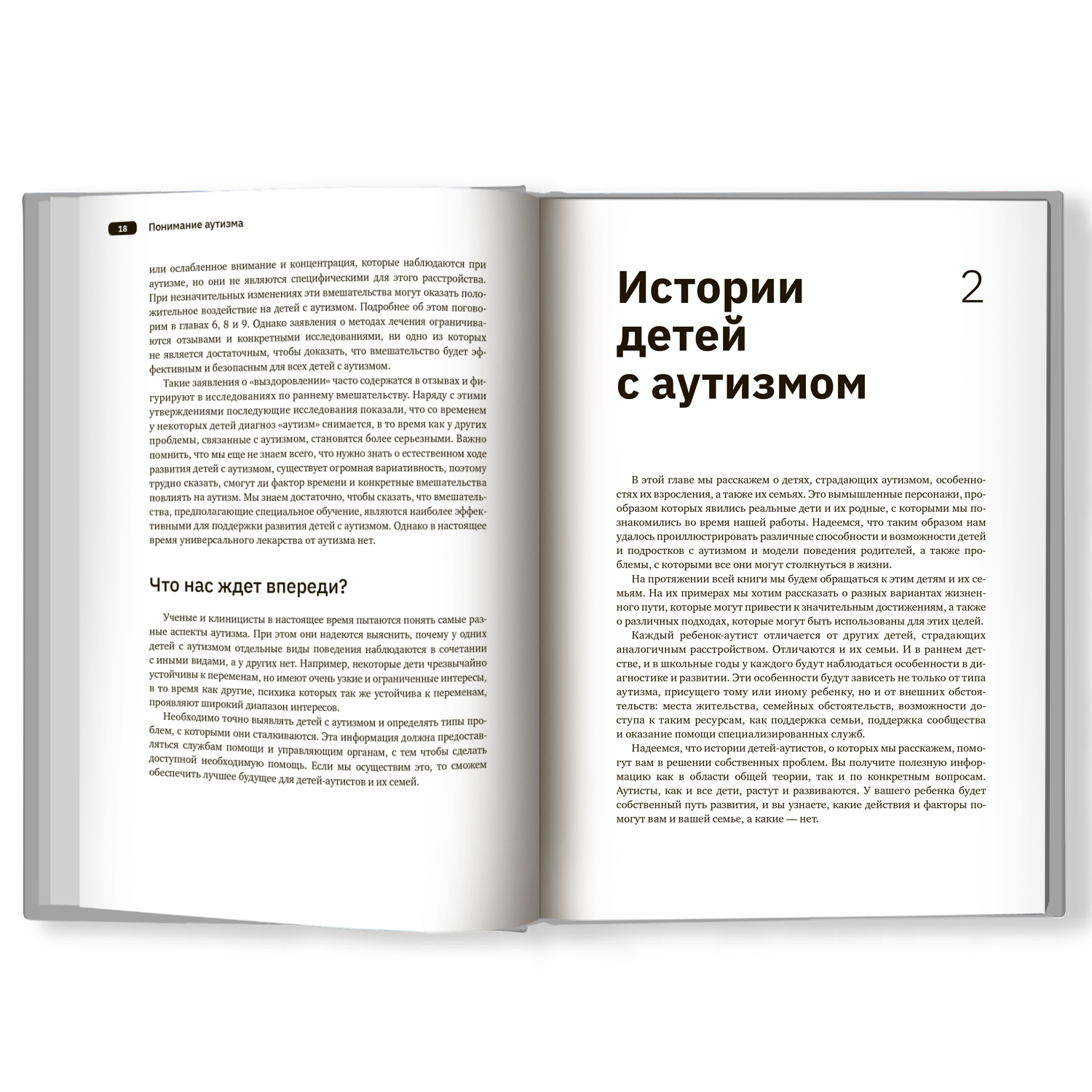 Книга Феникс Понимание аутизма. Руководство для родителей - фото 7