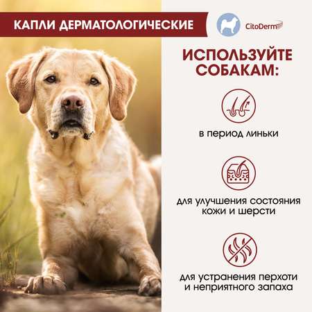 Капли для собак CitoDerm 30-60кг дерматологические 6мл