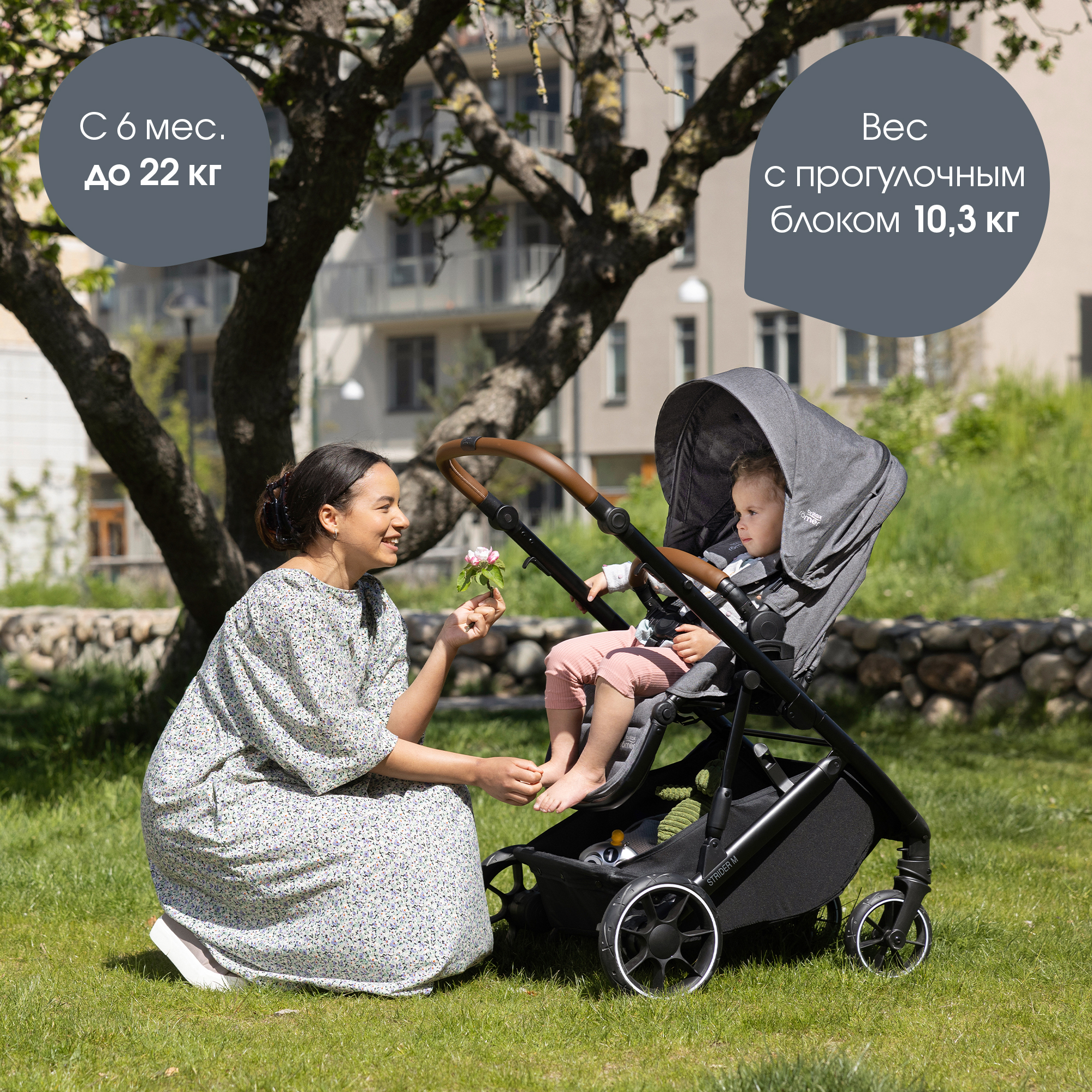 Коляска 2в1 Britax Roemer Strider M Elephant Grey - фото 18