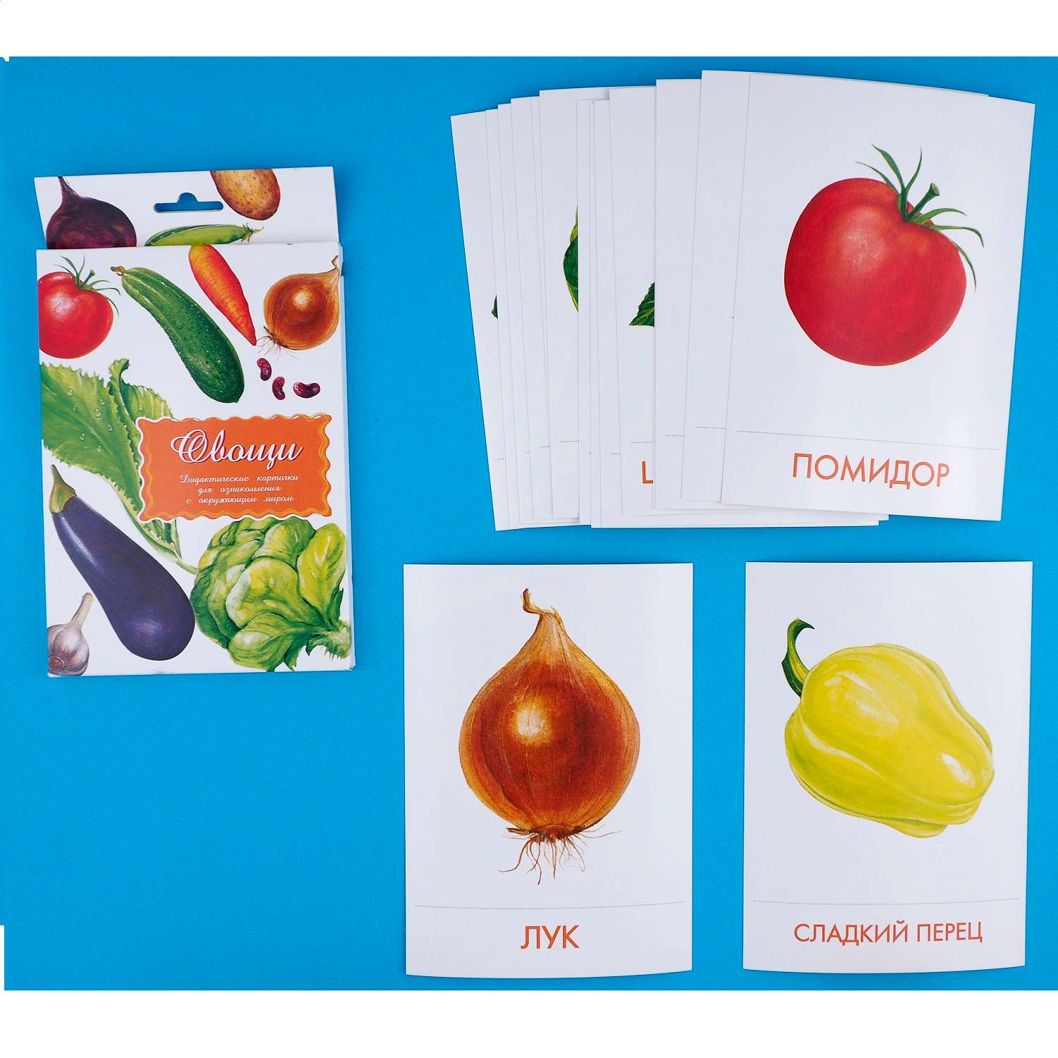 Дидактические карточки Маленький гений Овощи - фото 3