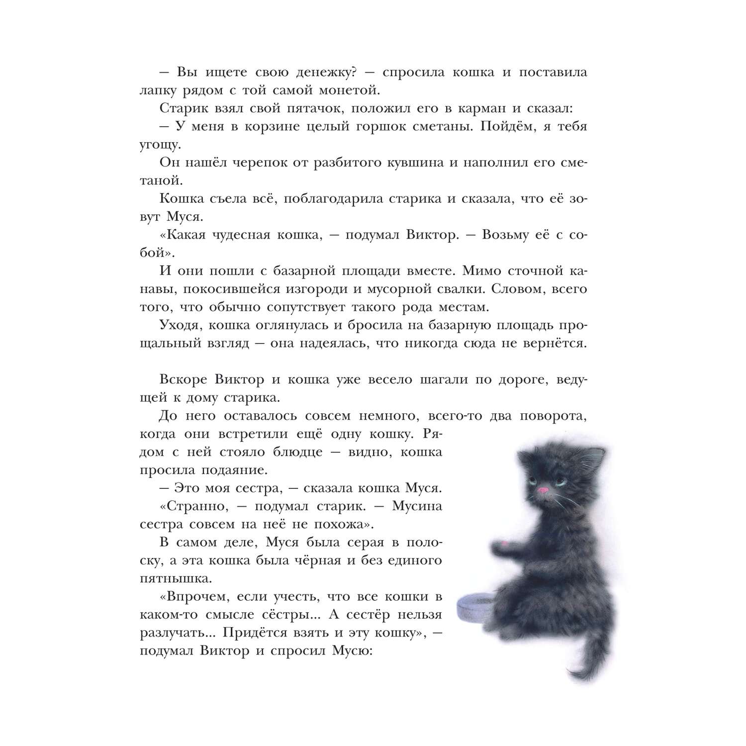 Книга Муся Юся и Матильда Невероятное кошачье приключение - фото 6