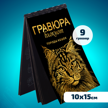 Набор для творчества LORI Гравюра блокнот из 9 листов Породы кошек 10х15 см