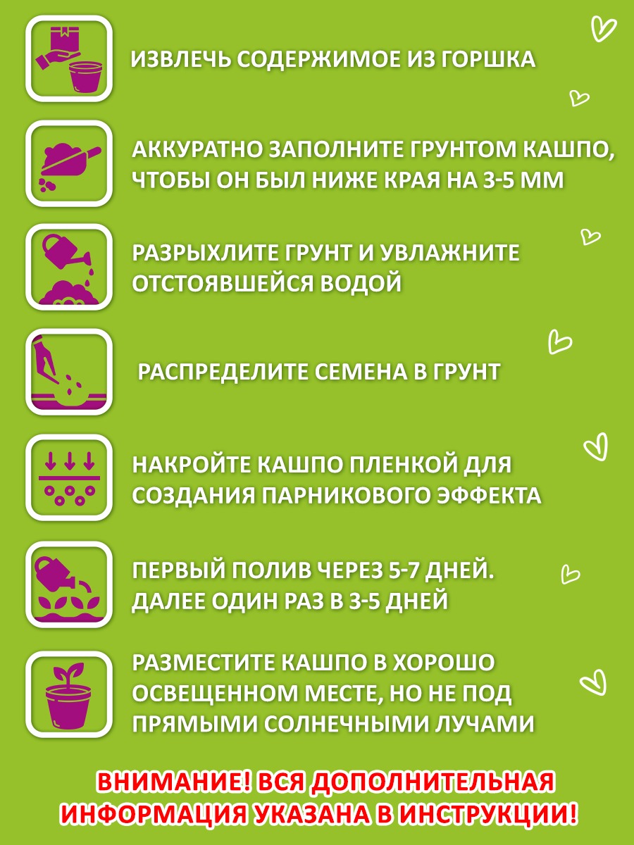 Набор для выращивания Blabar Мимоза стыдливая купить по цене 329 ₽ в  интернет-магазине Детский мир