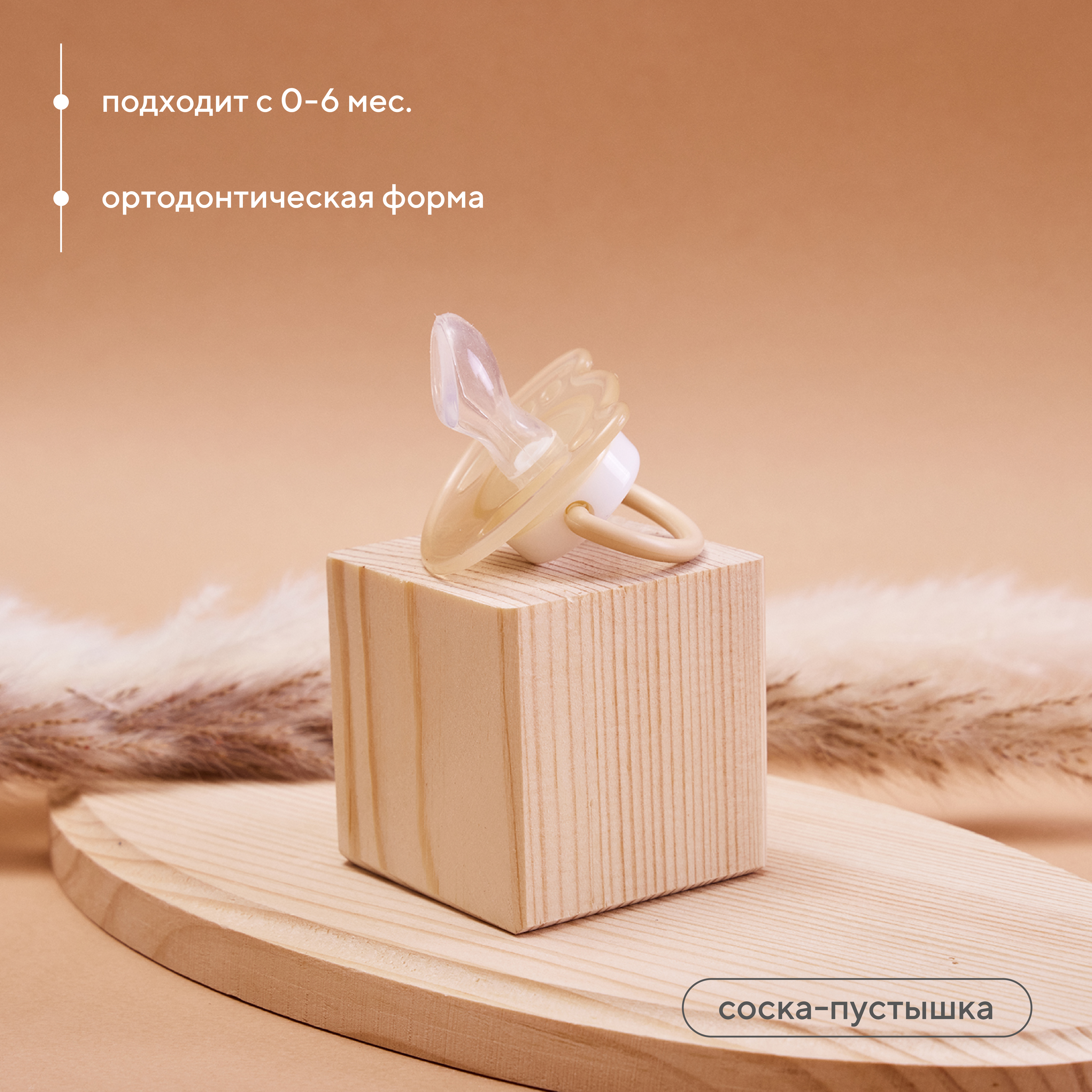 Соска-пустышка Rant ортодонтическая 0-6м арт. 3005 beige - фото 1