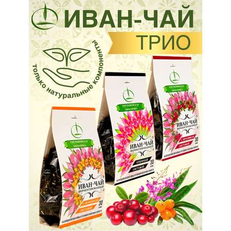 Иван-чай Емельяновская Биофабрика брусника облепиха 3 шт по 30 гр
