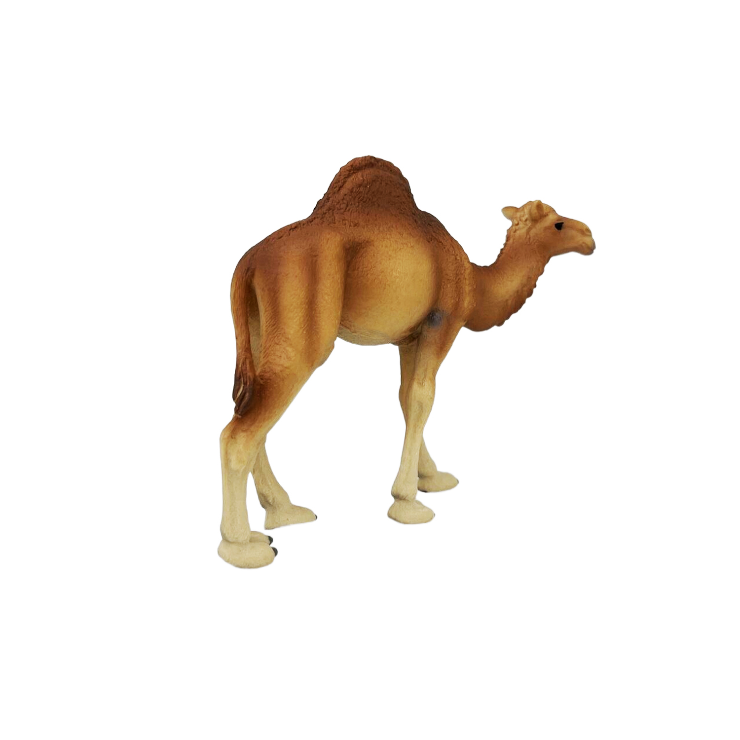 Фигурка животного Детское Время Одногорбый верблюд породы Дромадер - фото 1