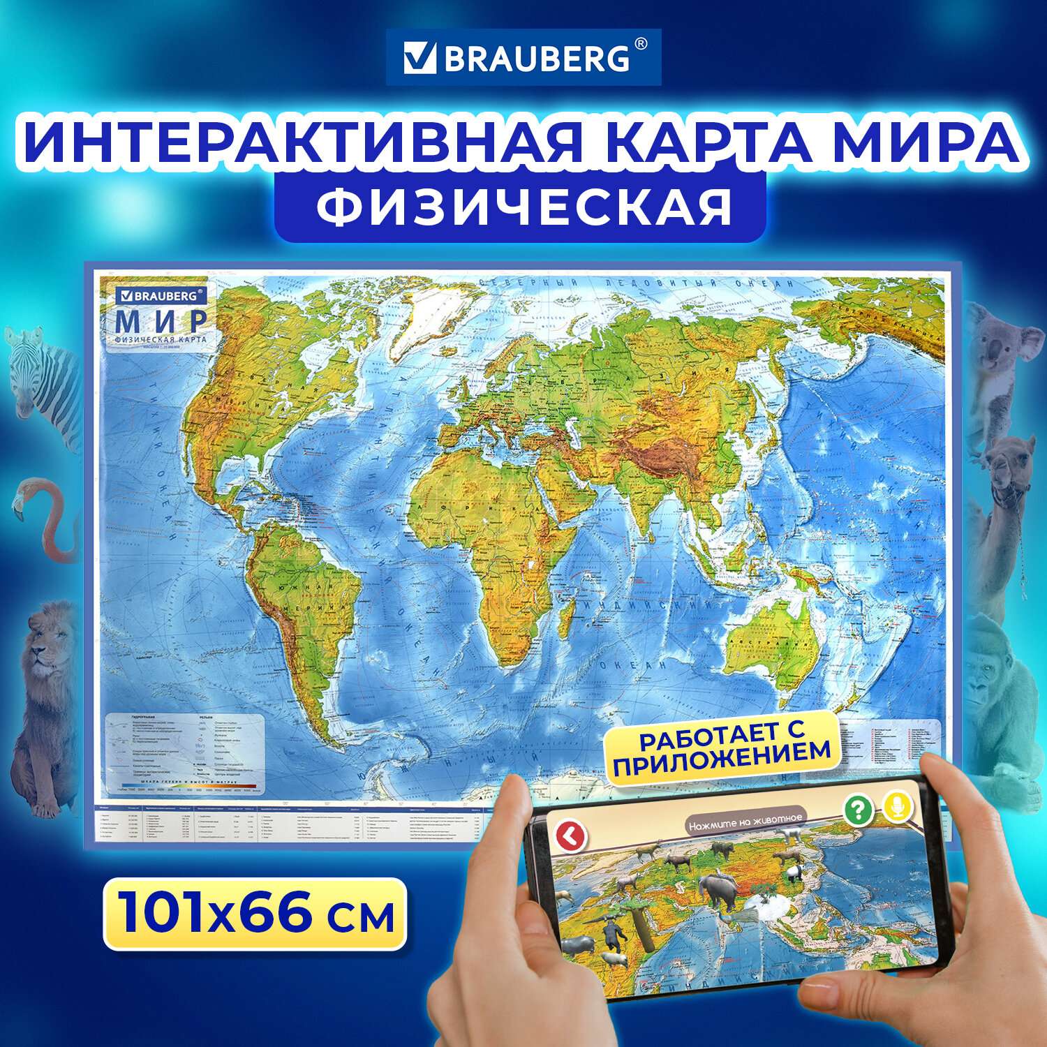 Карта мира Brauberg физическая 101х66 см 1:29М с ламинацией интерактивная в тубусе - фото 2