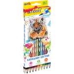 Набор цветных карандашей deVENTE Cosmo. Trio 18 цветов трехгранные