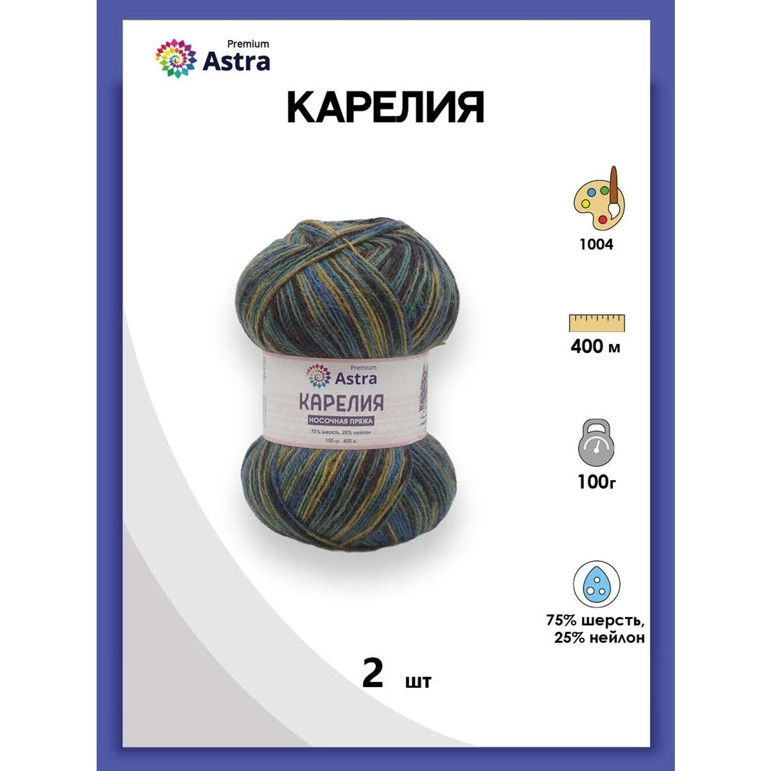 Пряжа для вязания Astra Premium карелия носочная шерсть нейлон 100 гр 400 м цвет 1004 2 мотка - фото 1
