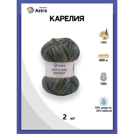 Пряжа для вязания Astra Premium карелия носочная шерсть нейлон 100 гр 400 м цвет 1004 2 мотка