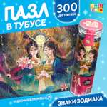 Пазл в тубусе Puzzle Time Чудесные близнецы 300 деталей