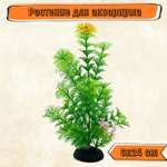 Аквариумное растение Rabizy 6х24 см