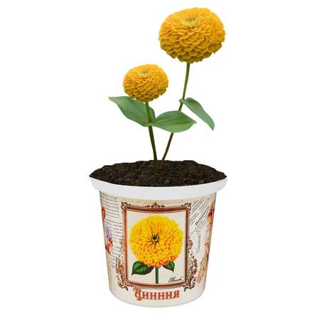 Набор для выращивания растений Rostok Visa Вырасти сам цветок Цинния в подарочном горшке