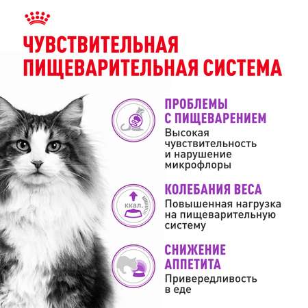Корм сухой для кошек ROYAL CANIN Sensible 33 400г с чувствительной пищеварительной системой