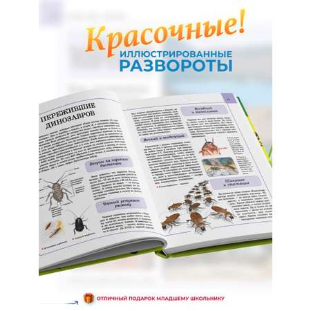 Книга Харвест Книга большая Энциклопедия для детей школьников Насекомые для чтения с иллюстрациями