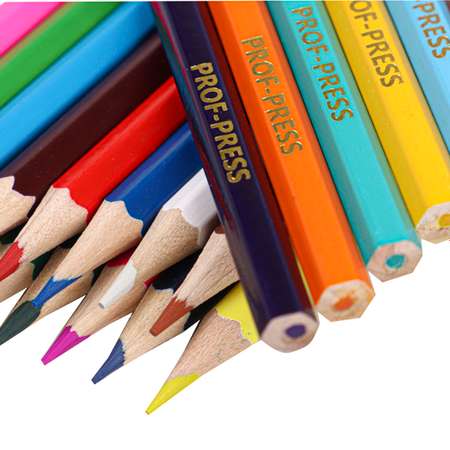 Карандаши цветные Prof-Press Сафари 24 цвета