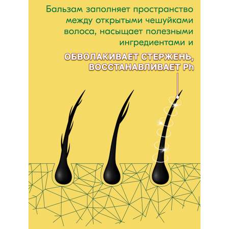 Шампунь для нормальных волос TRIOBIO питание и защита