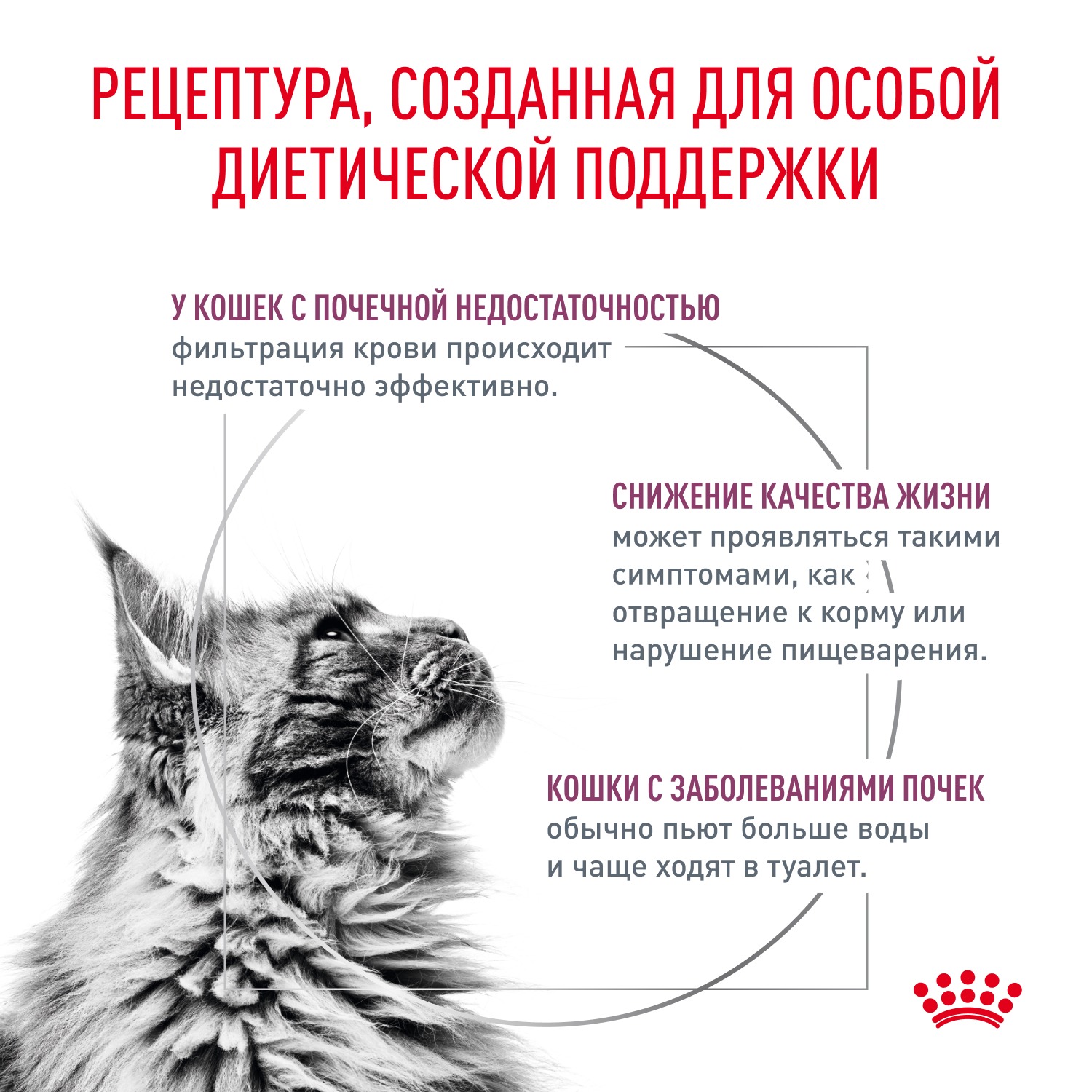 Сухой корм для кошек ROYAL CANIN Renal 0.35 кг мясо (при заболеваниях почек, лечебный) - фото 3