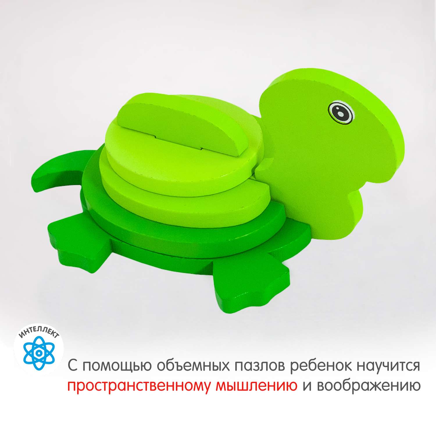 Пазл 3D Alatoys Черепаха - фото 4