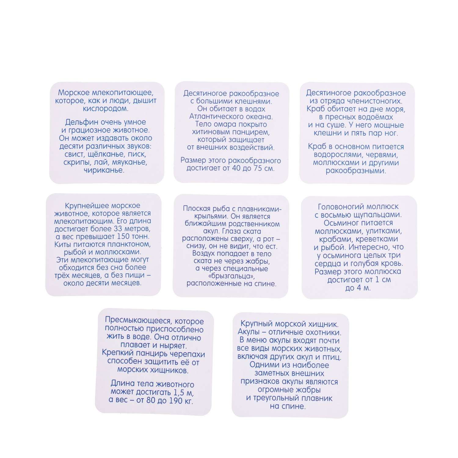 Развивающий набор IQ-ZABIAKA «Морские обитатели» задания на карточках маркер - фото 7